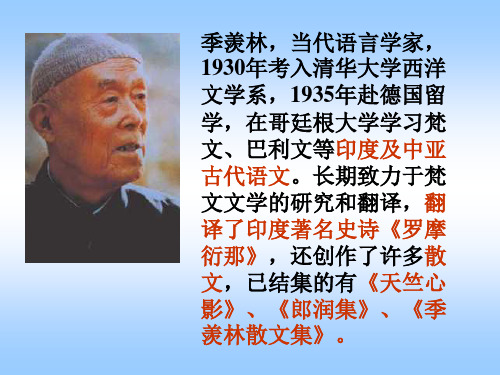 八年级语文永久的悔2(PPT)3-3