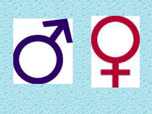 男生女生课件1