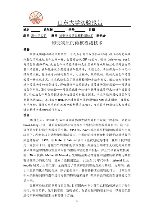 诱变物质的微核检测技术