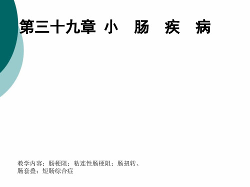 肠疾病课件PPT课件
