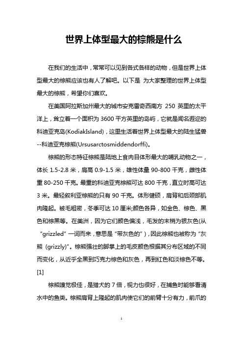 世界上体型最大的棕熊是什么