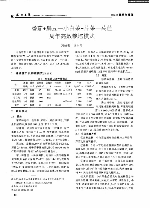 番茄+扁豆——小白菜+芹菜——莴苣周年高效栽培模式
