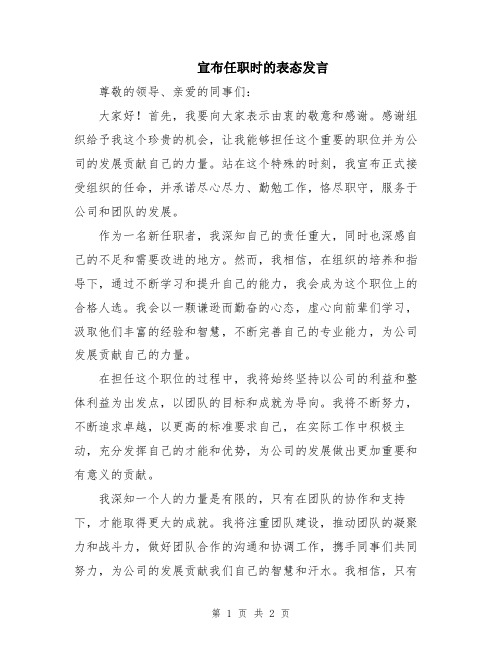 宣布任职时的表态发言