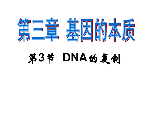 人教版高中生物必修二第三章第3节《DNA分子的复制》 课件 (共45张PPT)