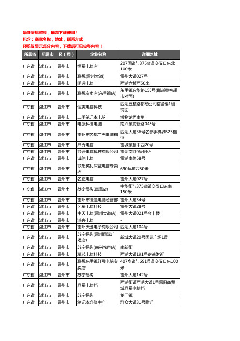 新版广东省湛江市雷州市电脑企业公司商家户名录单联系方式地址大全76家