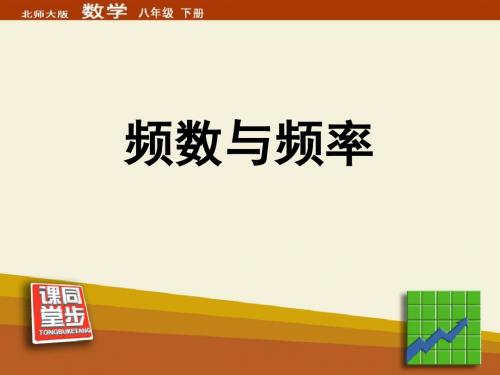 《频数与频率》数据的收集与处理PPT课件4