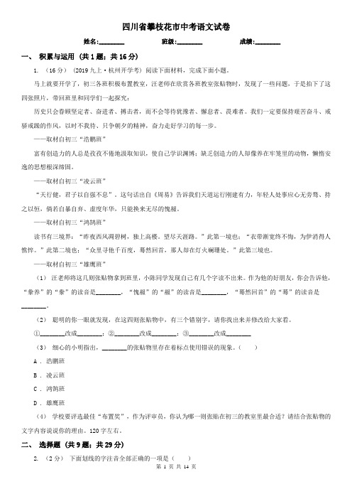四川省攀枝花市中考语文试卷