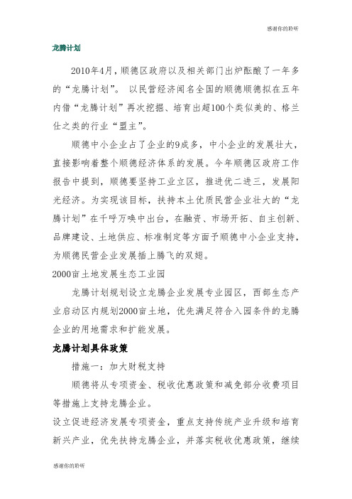 龙腾计划规划设立龙腾企业发展模板.doc