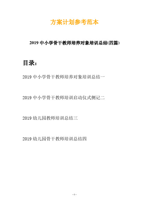 2019中小学骨干教师培养对象培训总结(四篇)