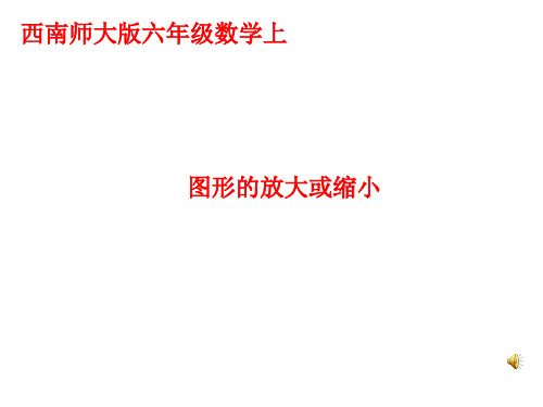 图形的放大和缩小ppt