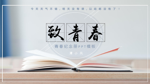 致青春毕业相册纪念册 (43)