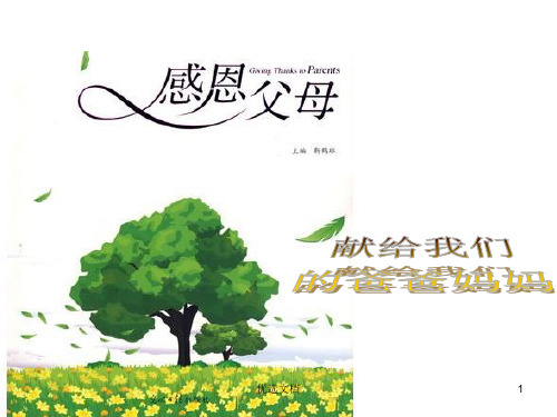 感恩父母的贺卡归纳.ppt
