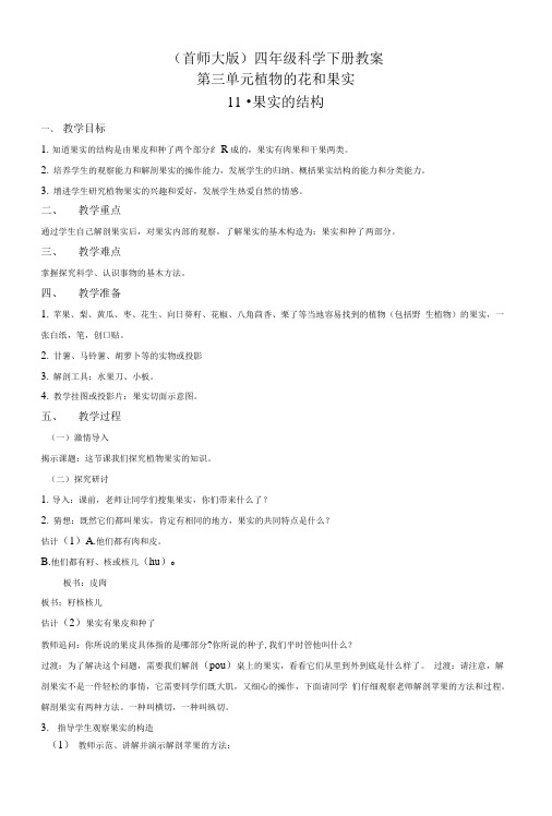 四年级科学下册 果实的结构 2教案 首师大版.doc