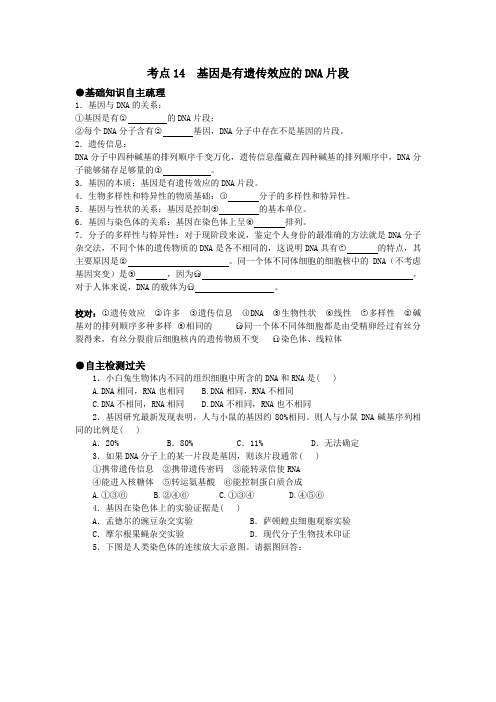 高考生物考点精析精练14  基因是有遗传效应的DNA片段