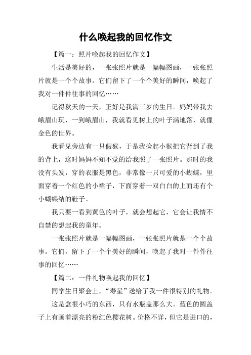 什么唤起我的回忆作文