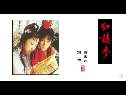 《林黛玉进贾府》第二课时