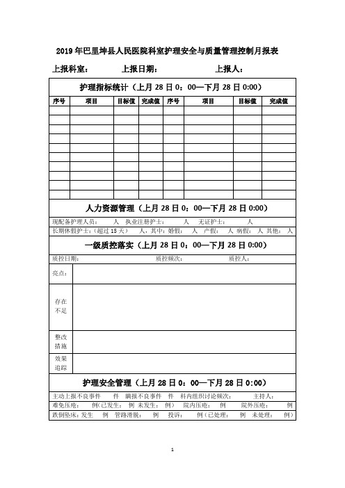 2019年科室护士长护理安全与质量月报表