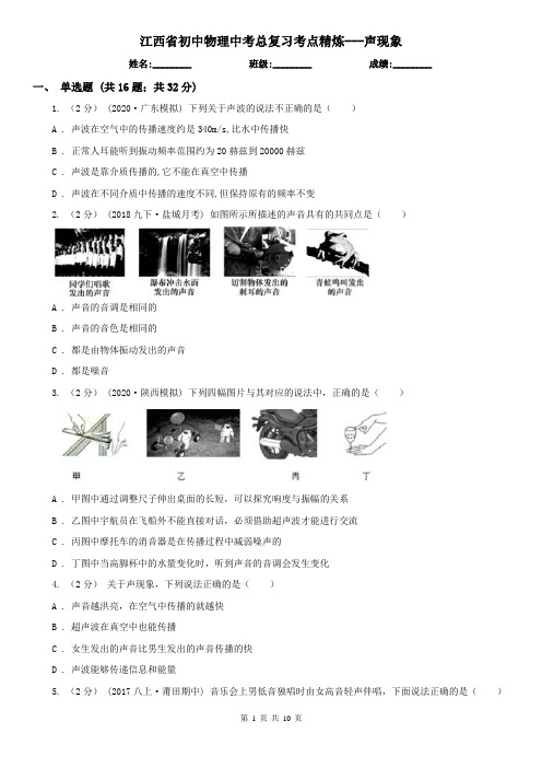 江西省初中物理中考总复习考点精炼---声现象