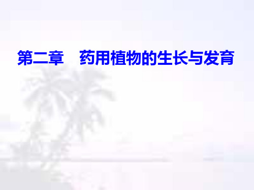 第二章 药用植物的生长与发育PPT课件