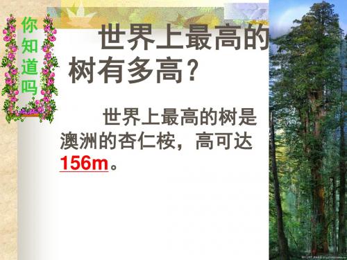 5.4 植物茎的输导功能SCC