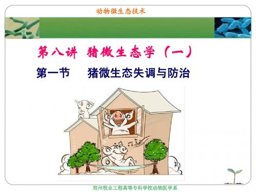 第八讲  猪微生态学(一)