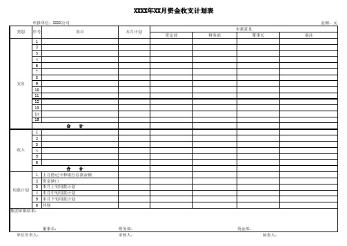 公司资金收支计划、执行情况表