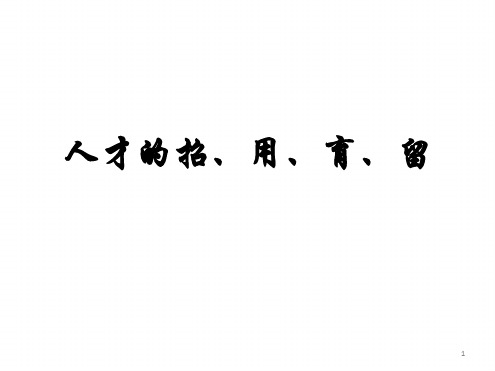 人才的招用育留幻灯片