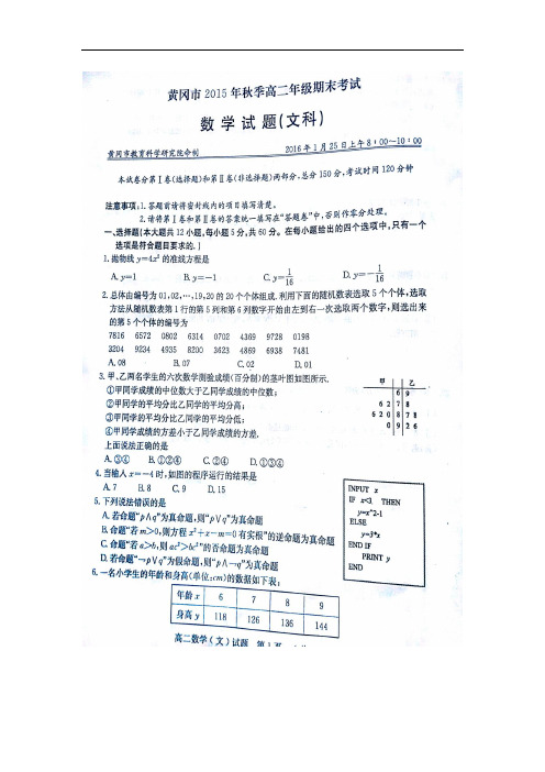湖北省黄冈市高二数学上学期期末考试试题 文(扫描版)