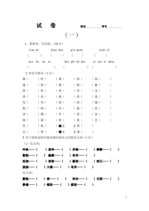 六上语文新词语手册