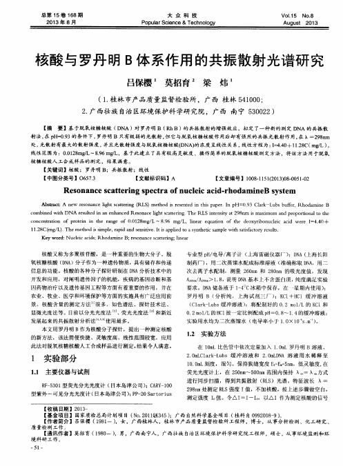 核酸与罗丹明B体系作用的共振散射光谱研究