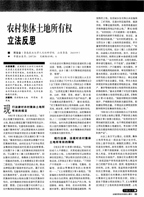 农村集体土地所有权立法反思