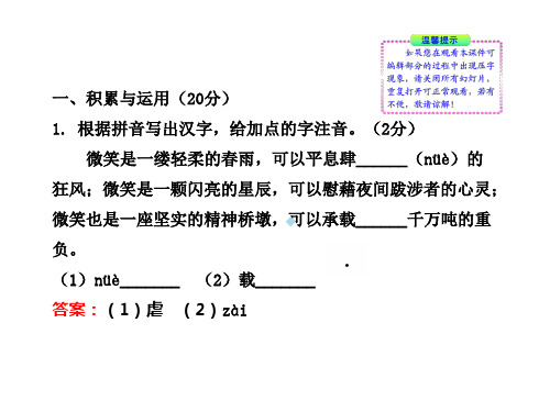 积累与运用20分1_根据拼音写出汉字给加点的字注ppt课件