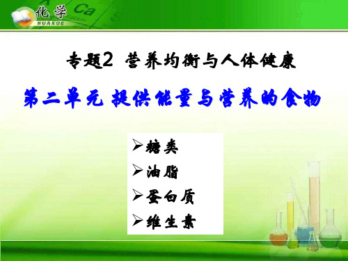 提供能量与营养的食物 苏教版精选教学PPT课件