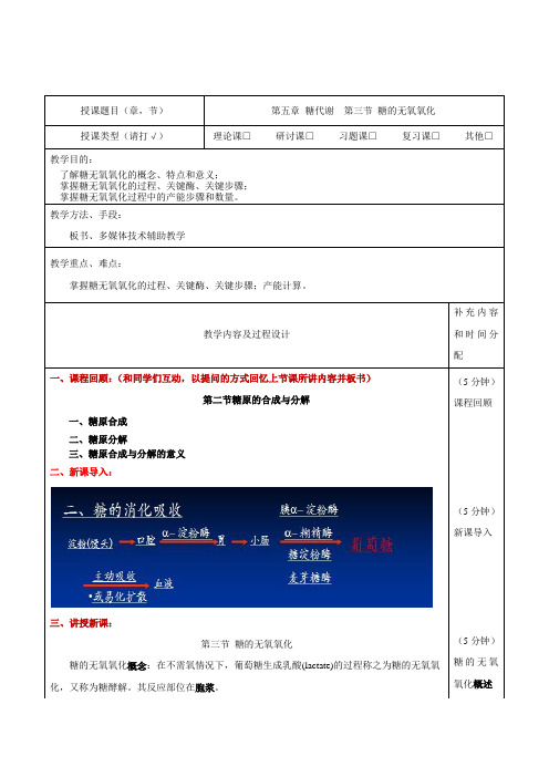 第五章糖代谢(糖的无氧氧化)