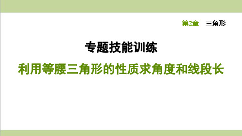 湘教版八年级上册数学 专题训练 利用等腰三角形的性质求角度和线段长 复习课后习题练习课件