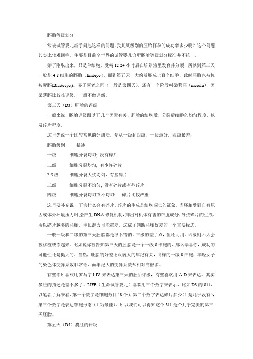泰国试管知识：胚胎级别的问题-优佳国际