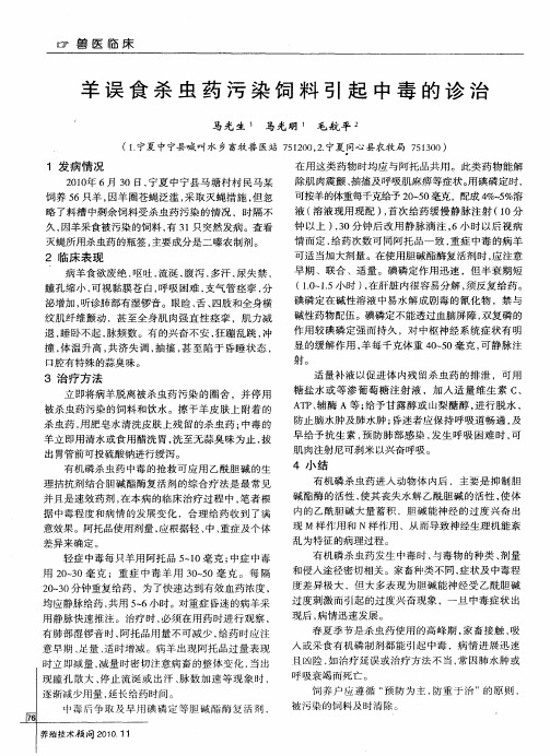 羊误食杀虫药污染饲料引起中毒的诊治