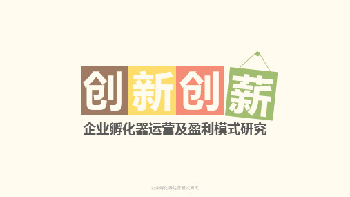 企业孵化器运营模式研究 ppt课件