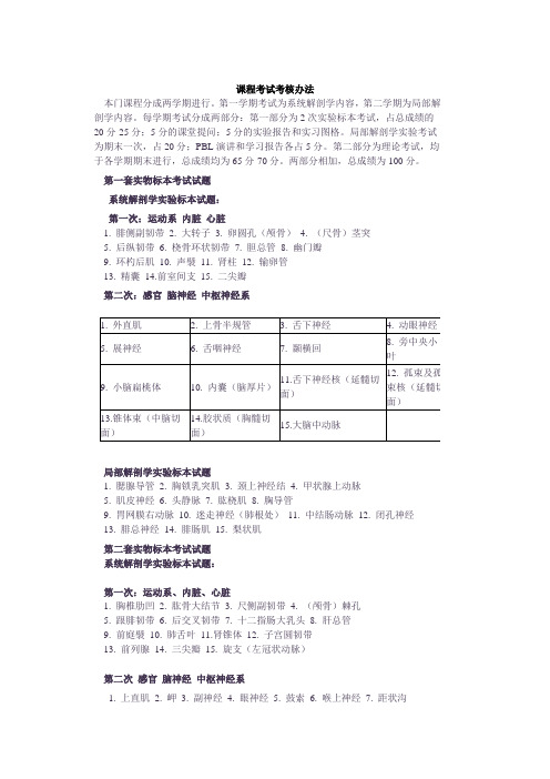 人体解剖学  考核方式