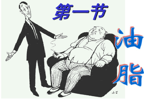 人教化学选修第一节油脂教学课件3