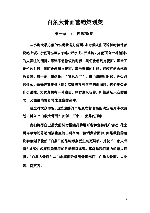 白象大骨面营销策划案