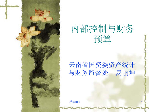 内部控制与财务监督学习ppt课件
