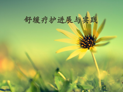 舒缓疗护课件PPT课件
