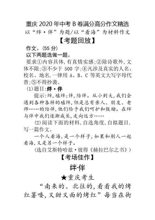 绊·伴(南来的) 重庆B卷2020年中考满分作文
