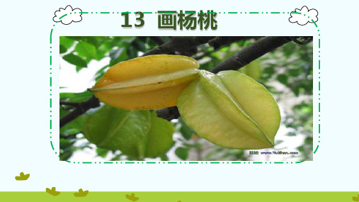 (人教部编版教材)画杨桃PPT1