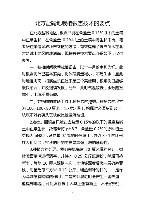 北方盐碱地栽植银杏技术的要点