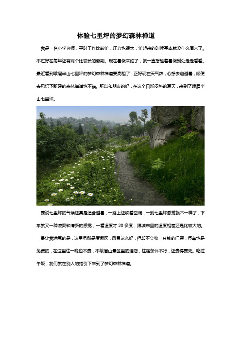体验七里坪的梦幻森林禅道