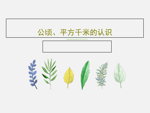 公顷、平方千米的认识17页PPT