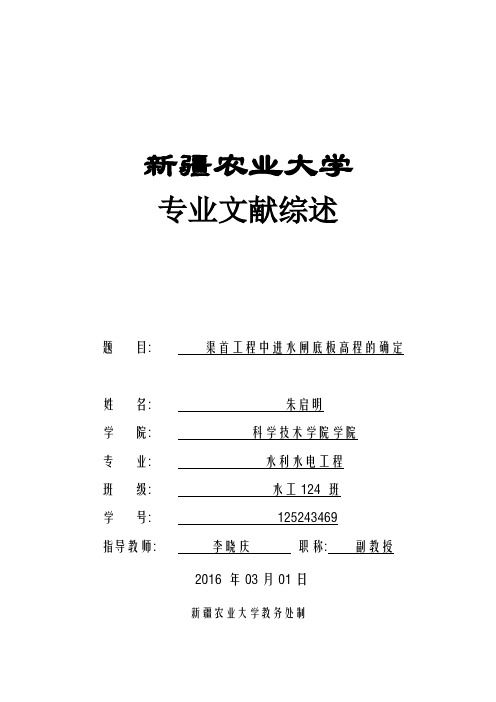 渠首工程中进水闸底板高程的确定