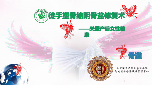 潘文宝塑骨缩阴骨盆修复技课件(公益班学习内容)ppt课件